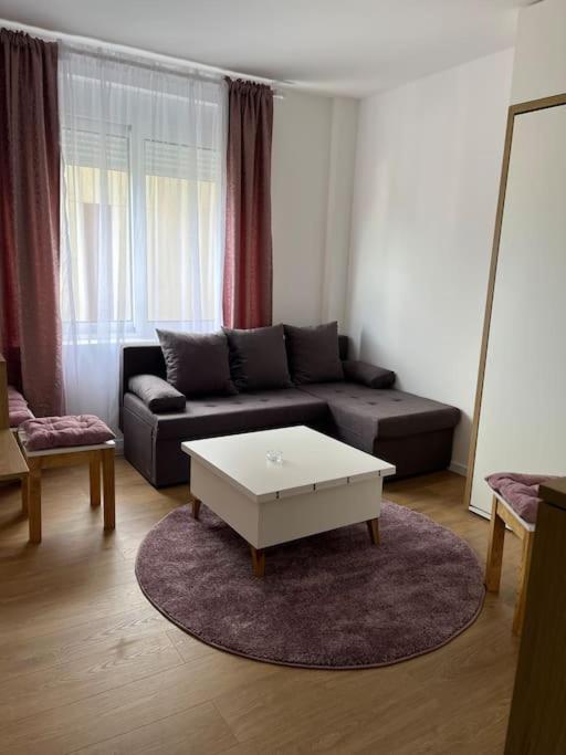 Apartment Centar Podgoriţa Exterior foto