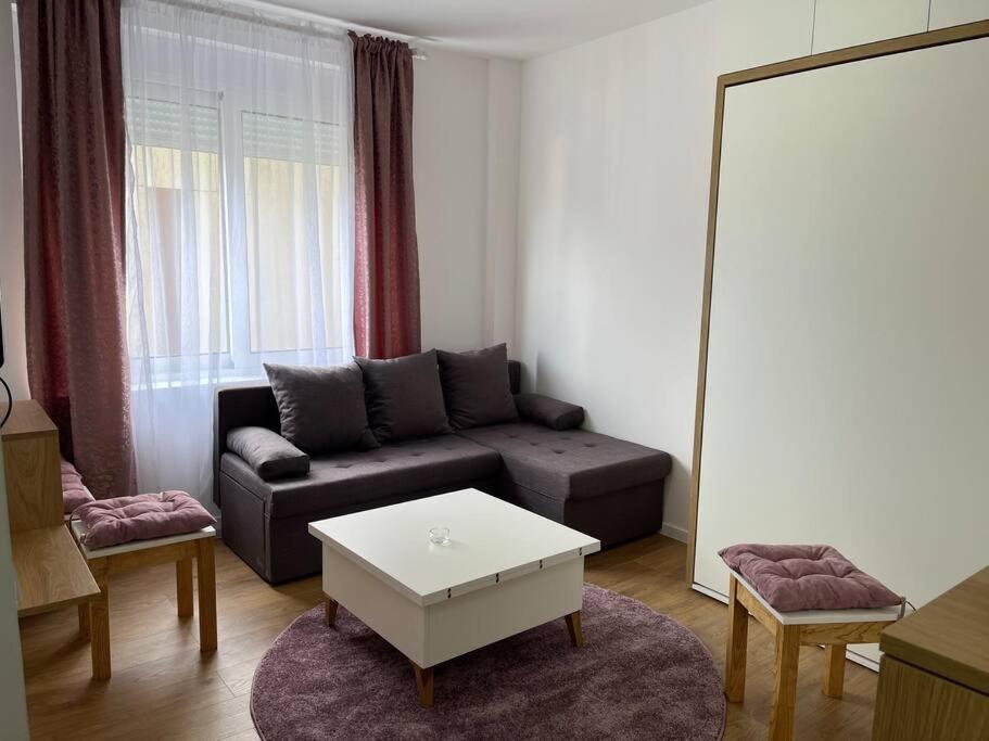 Apartment Centar Podgoriţa Exterior foto