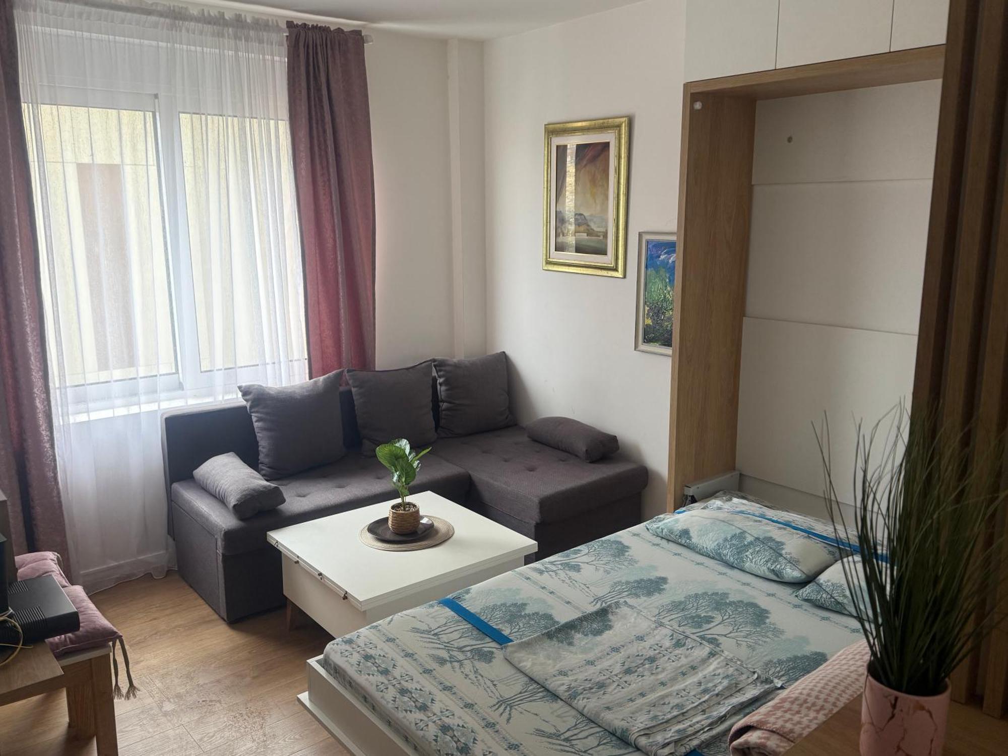 Apartment Centar Podgoriţa Exterior foto